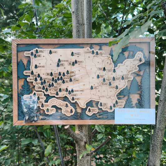 Wooden map of the United States with pins in a forest setting